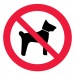 Знак P14 Запрещается вход (проход) с животными (Пластик 200 х 200)